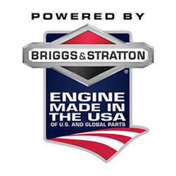 22 HP Briggs & Stratton Professional Series Engine